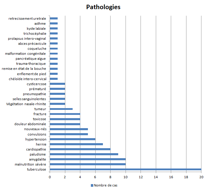 Graphique des pathologies soignées