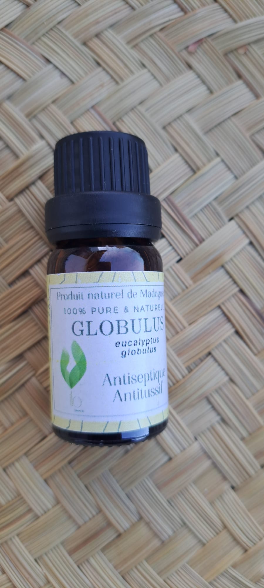 Globulus
