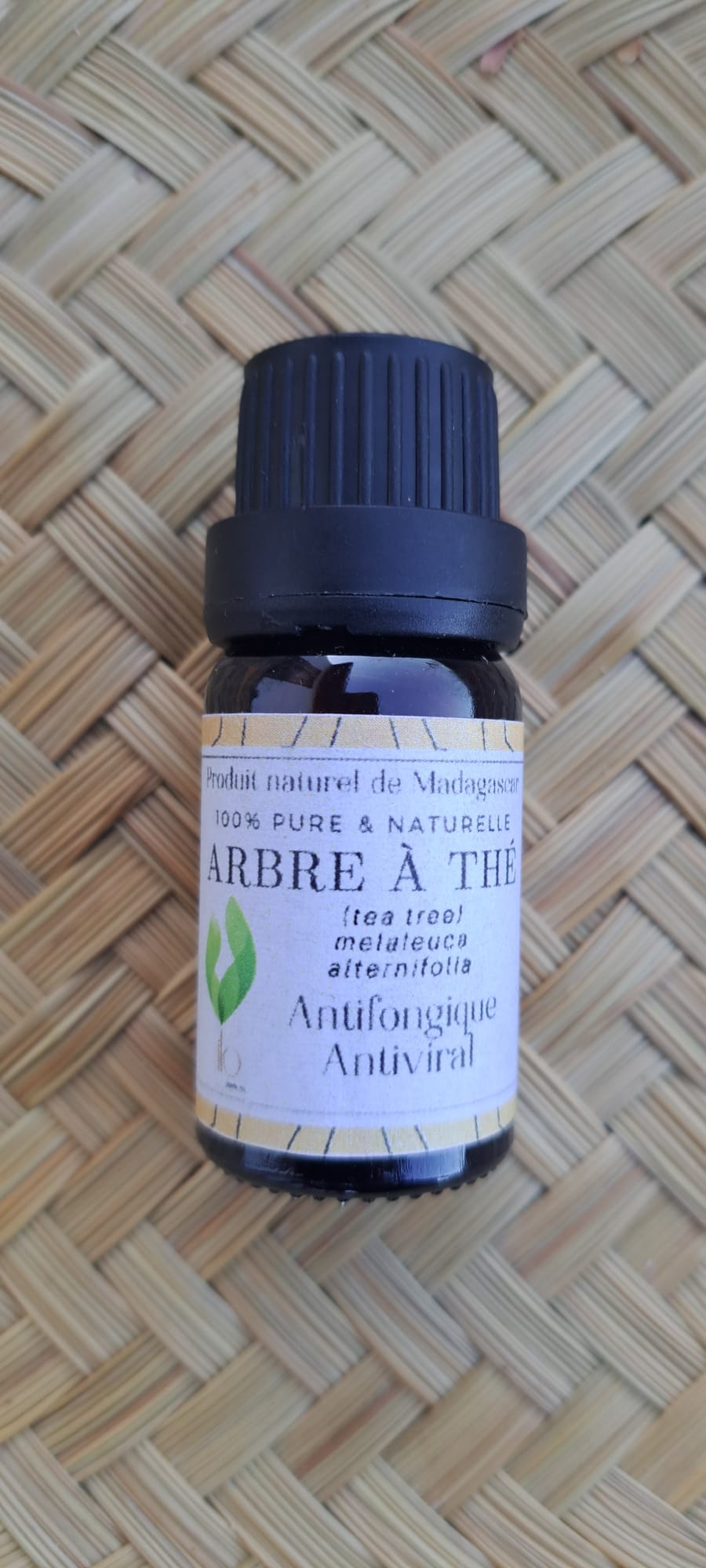 Arbre à thé / Tea Tree